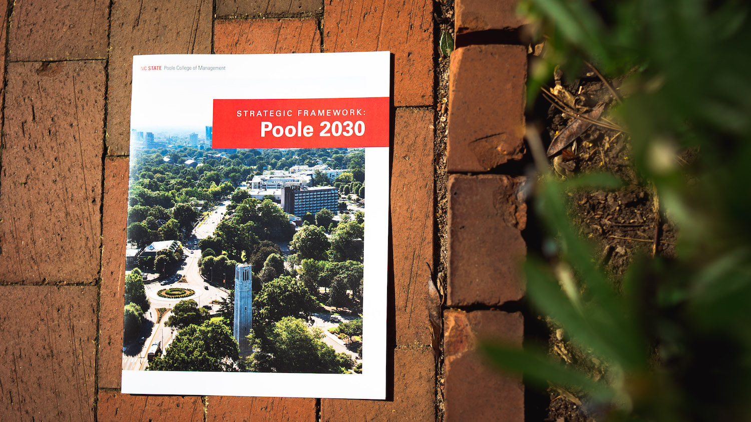 Poole 2030 Strategy Photo