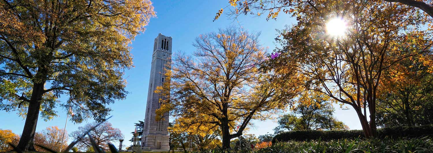 fall tree skyline with bell tower