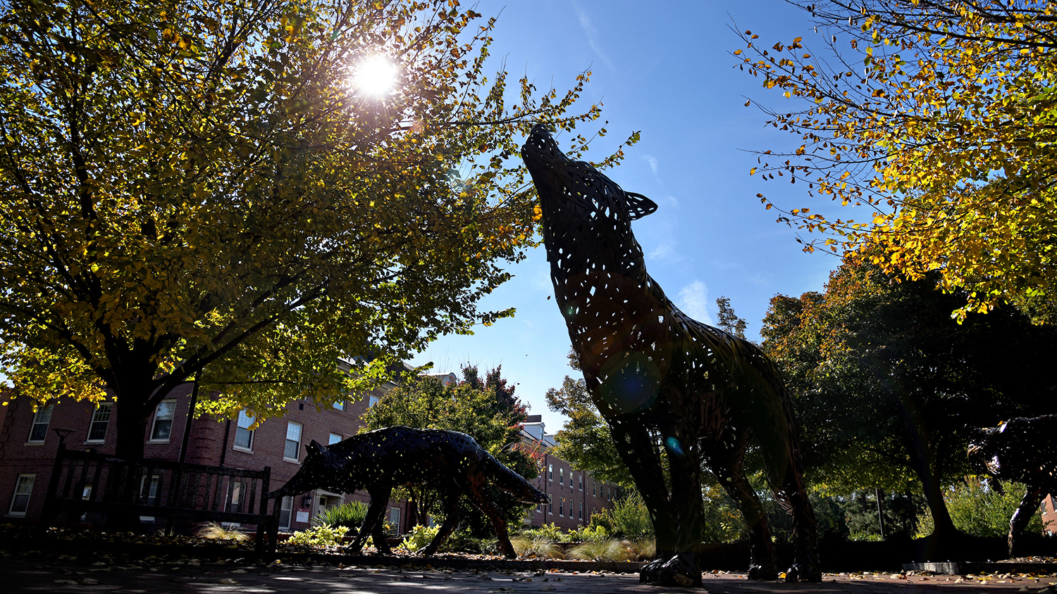 Copper Wolf on Central Campus in the fall.