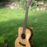 a guitar sitting on a lawn