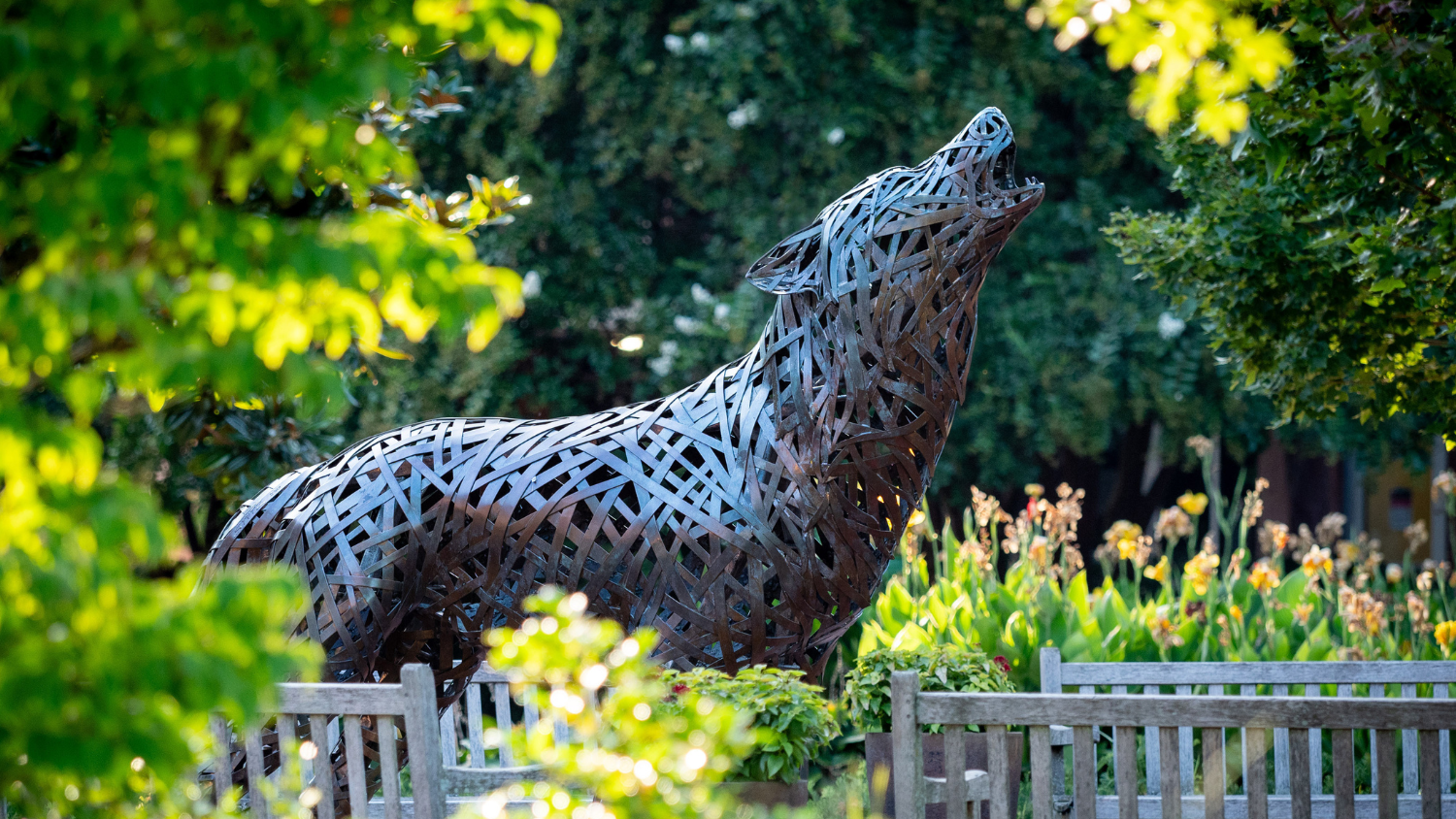 Wolf statue on NC State's Campus.