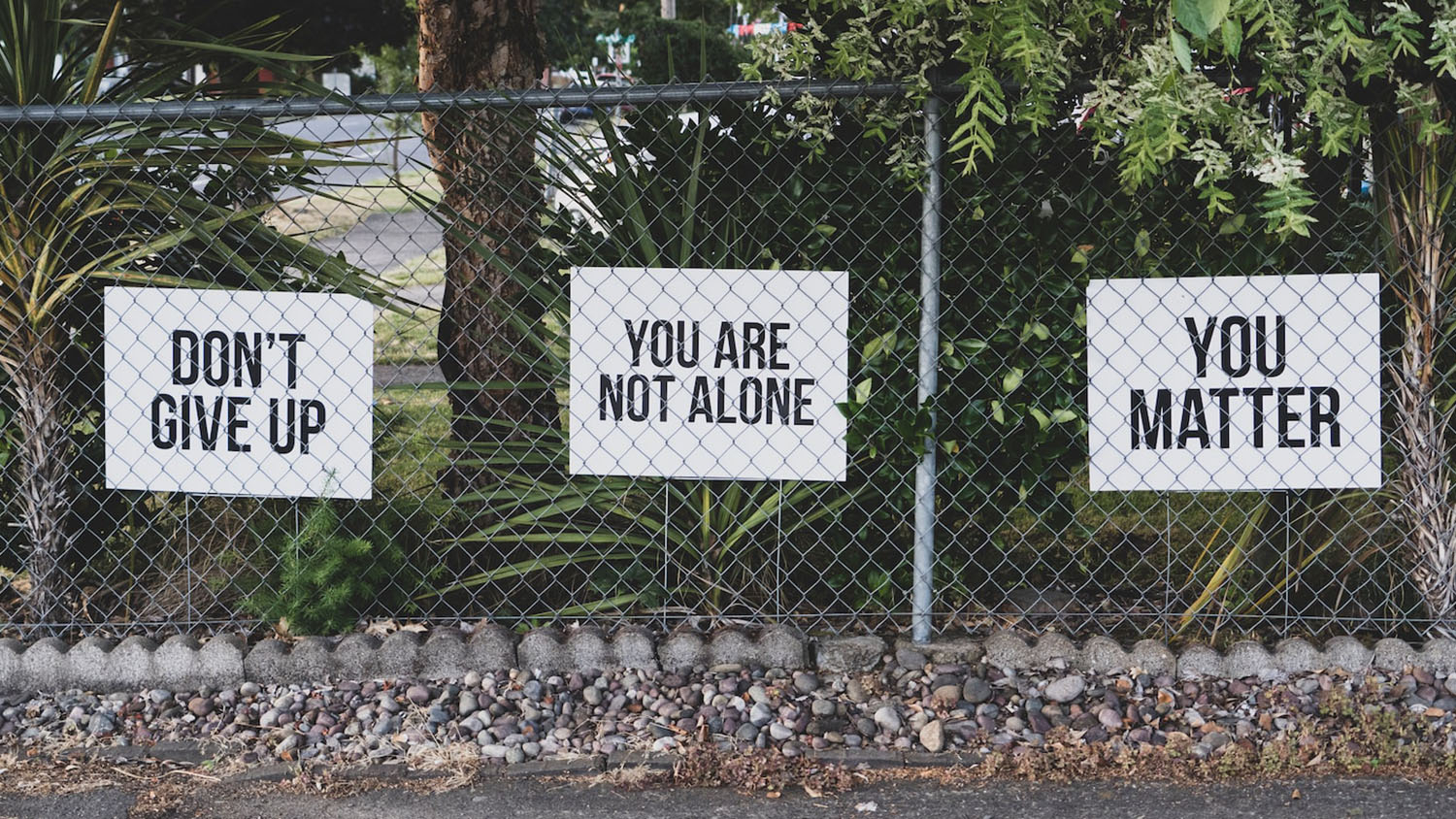 three signs are attached to a chain link fence. The signs read: "Don't Give Up", "You Are Not Alone", and "You Matter".