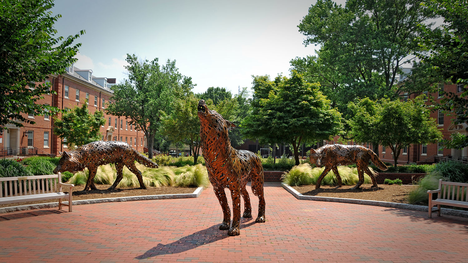 nc state wolves statues