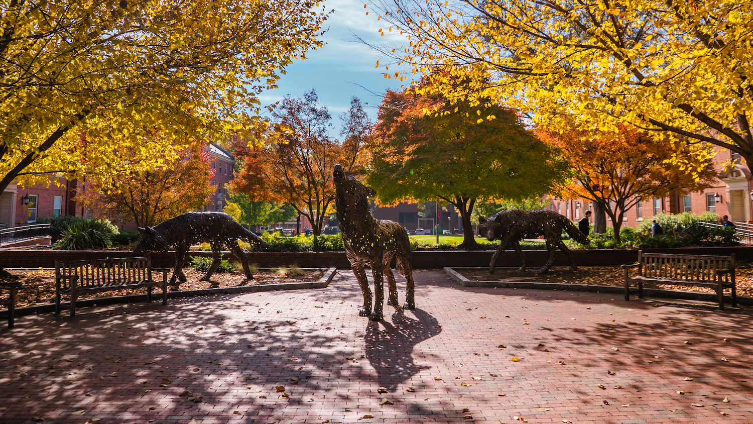 The copper wolves in NC State's Wolf Plaza during fall