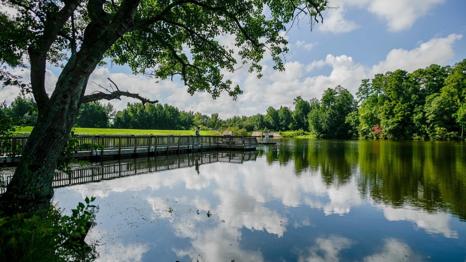 Lake Raleigh